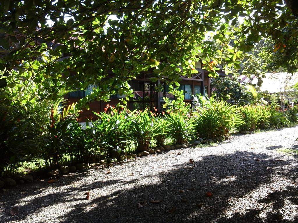 Kenaki Lodge Puerto Viejo de Talamanca Esterno foto