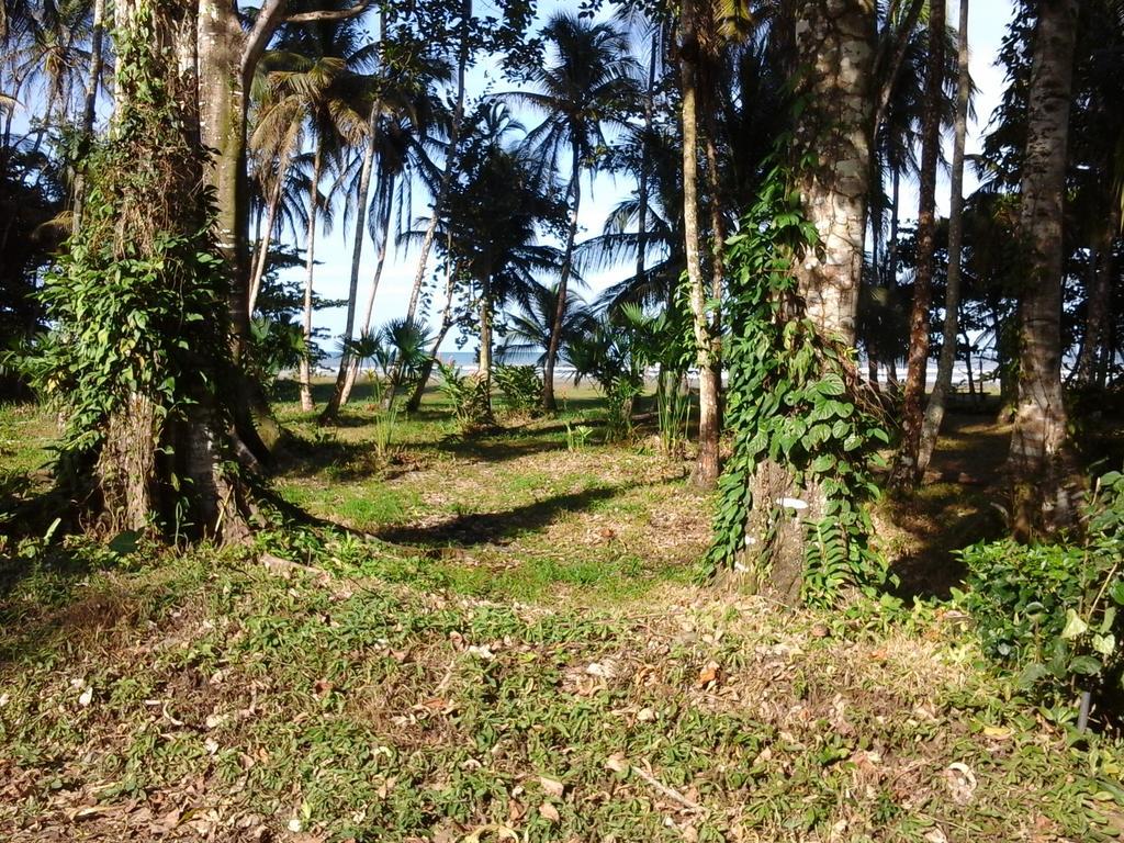 Kenaki Lodge Puerto Viejo de Talamanca Esterno foto