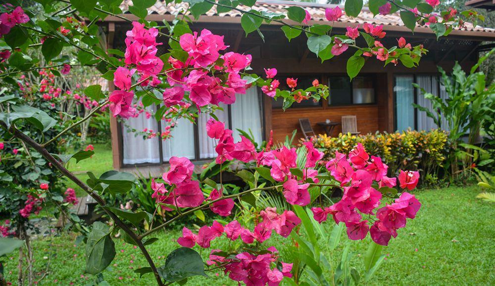 Kenaki Lodge Puerto Viejo de Talamanca Esterno foto